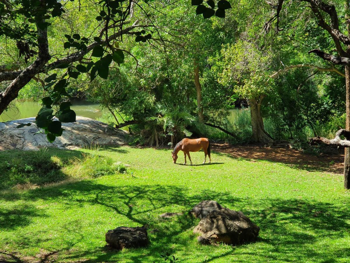 Blyde River Wilderness Lodge Hoedspruit Exteriör bild