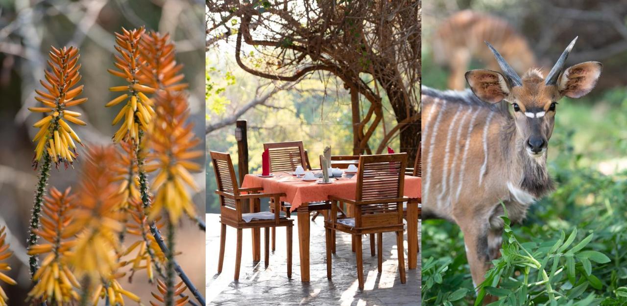 Blyde River Wilderness Lodge Hoedspruit Exteriör bild